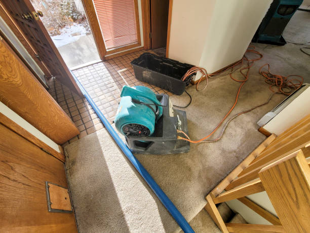 Best 24/7 water damage repair  in Beach, ND