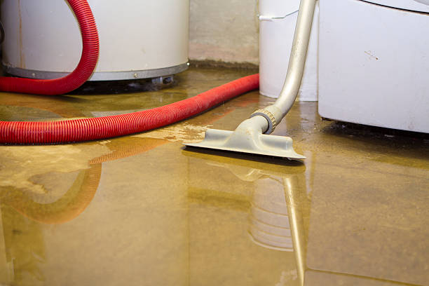 Best Sewage cleanup and water damage restoration  in Beach, ND